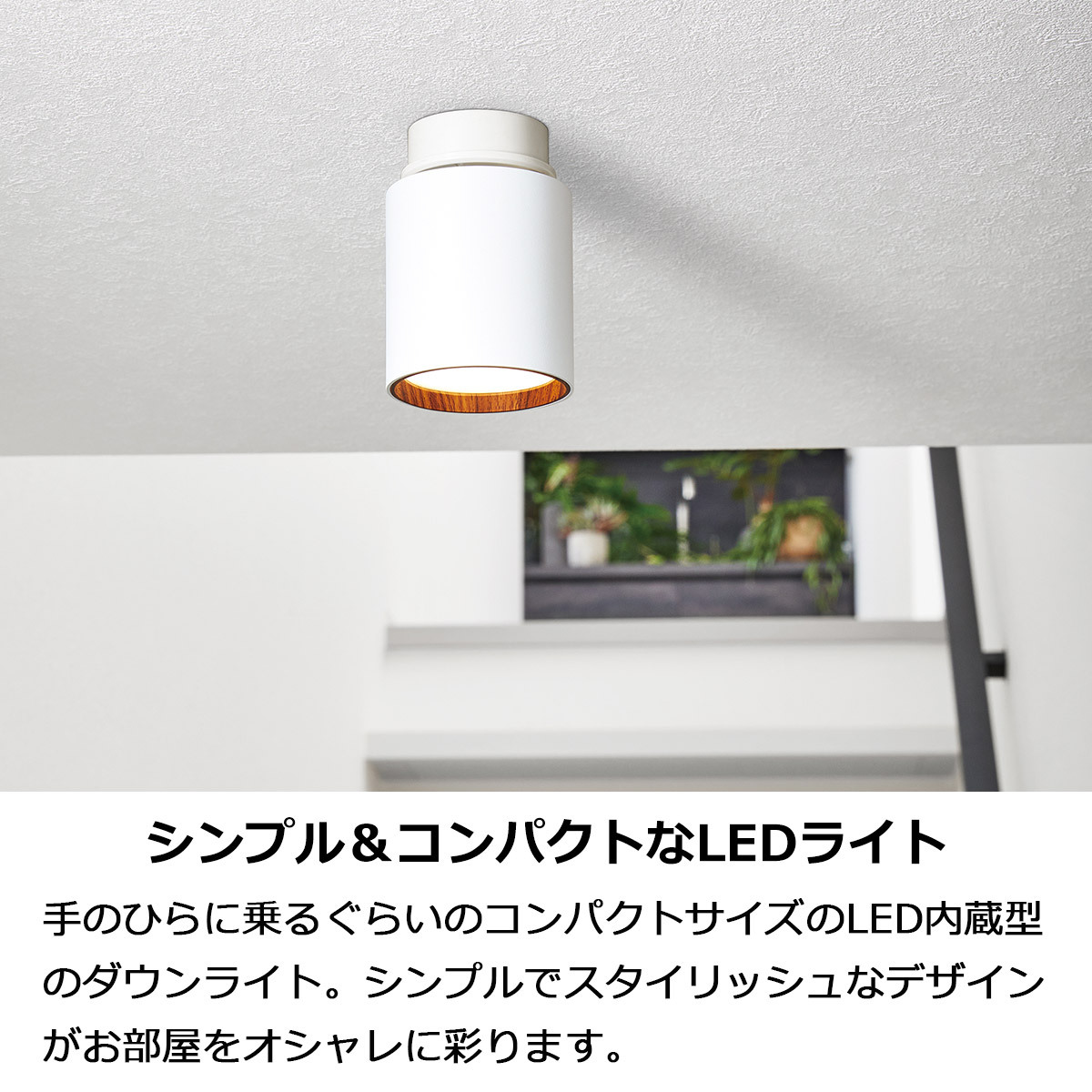 LED スポットライト ダウンライト 引っ掛けシーリング グリッドプラス