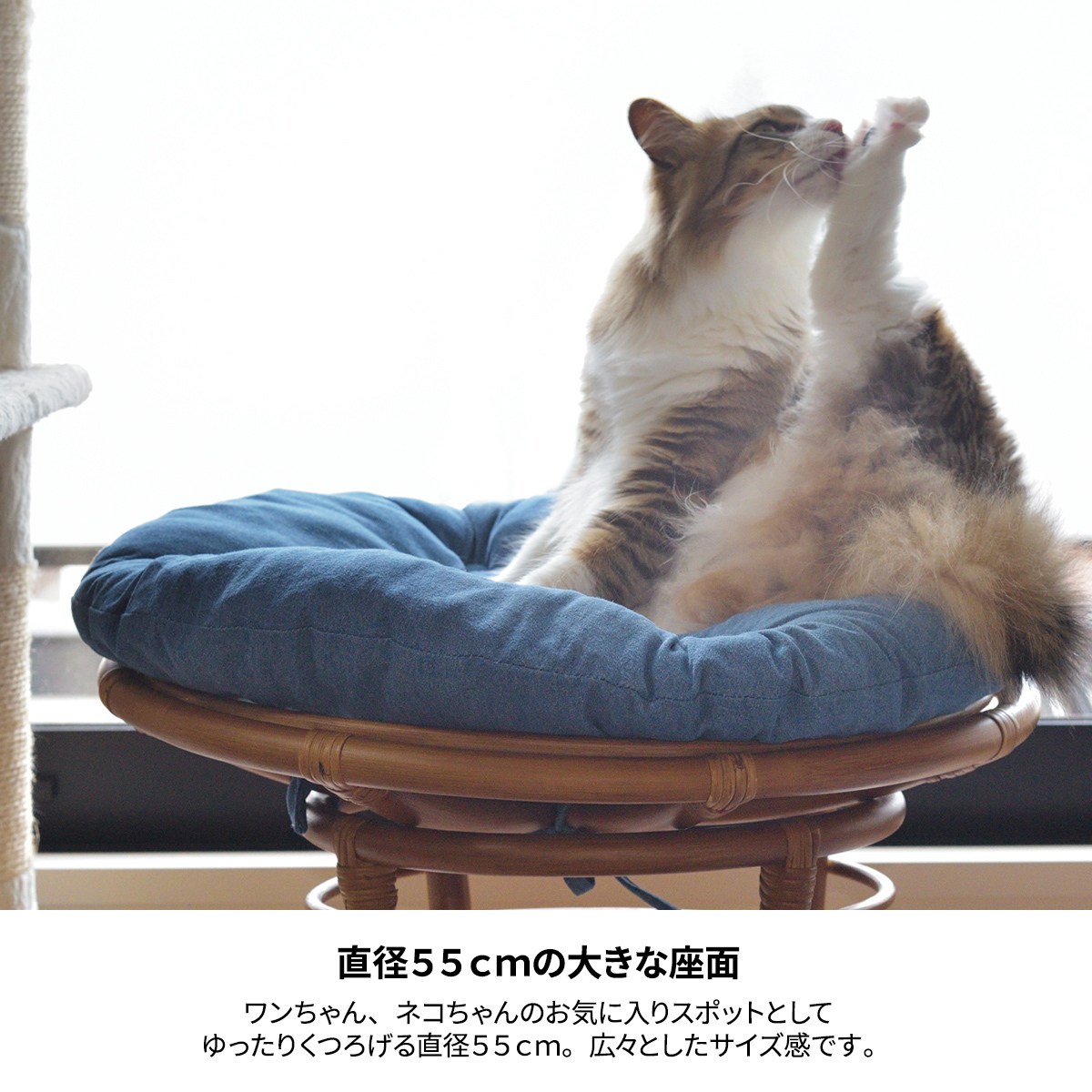パパサンチェア ラタン ペットスツール ペット用 ペット用ベッド