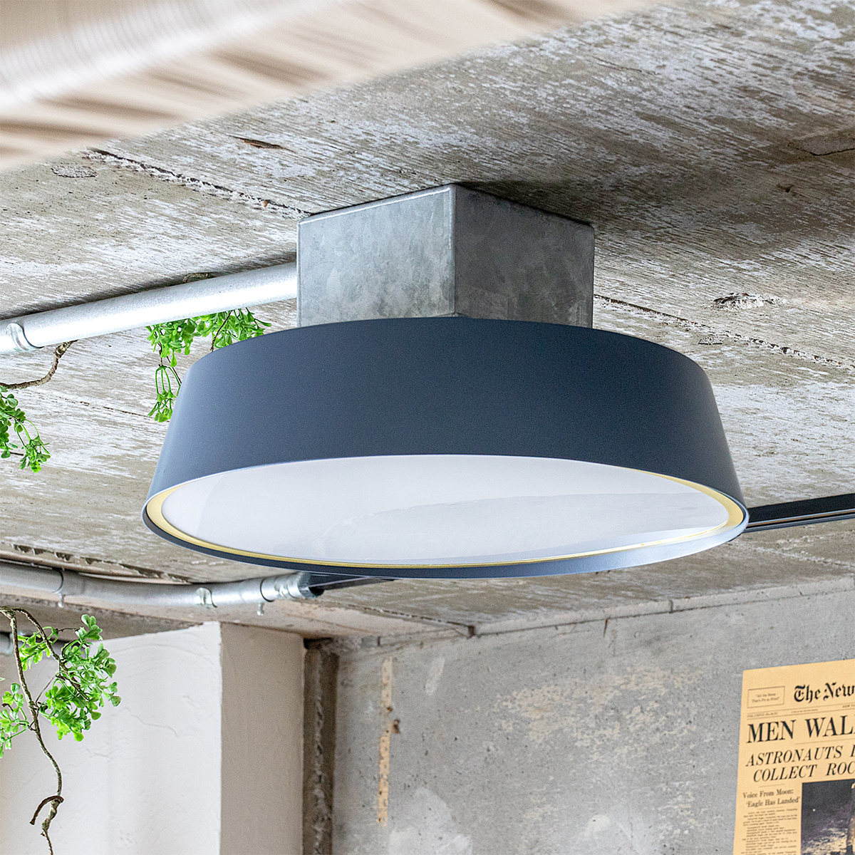 楽天市場】MUFFIN LED Ceiling Light /マフィン LED シーリング
