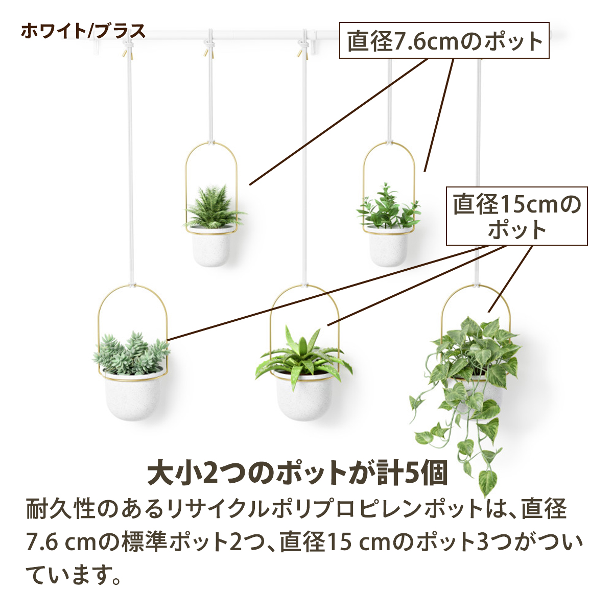 Umbra プランターポット 5連 トリフローラ 5カップ ラージ 観葉植物