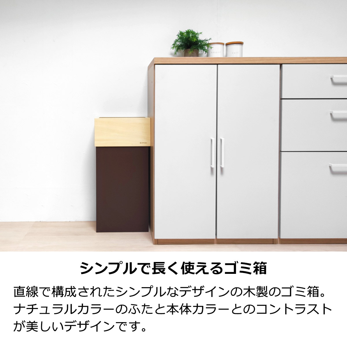 ゴミ箱 30L 大きい おしゃれ シンプル W CUBE 分別 スリム 袋が見え