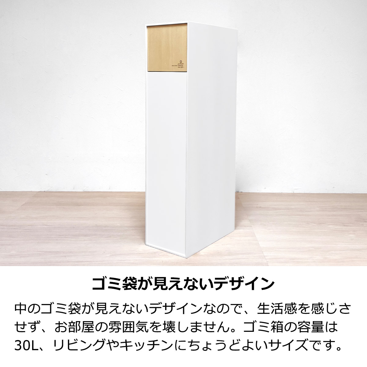 ゴミ箱 30L スリム DOORS W ダストボックス 扉付き 蓋付き フタ付き