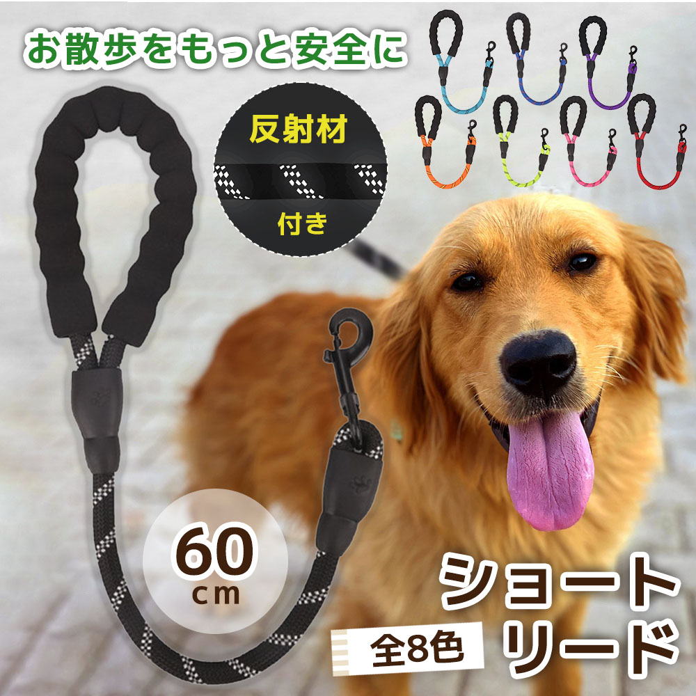 犬 ショートリード しつけ