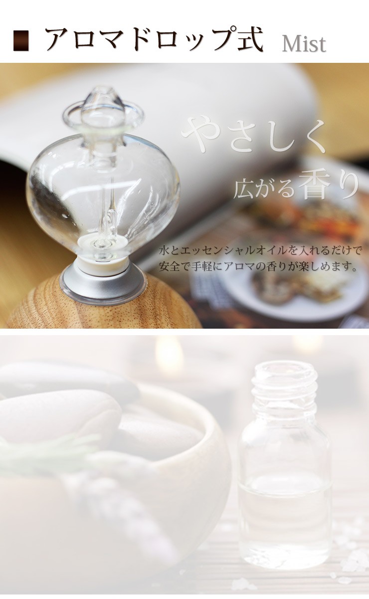 ADIR アロマディフューザー Ailes エール 3