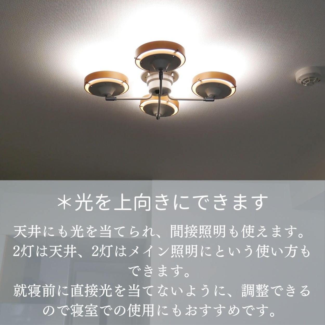 Wリング シーリングスポット