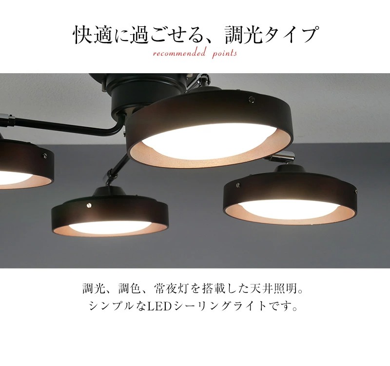 Wリング シーリングスポット