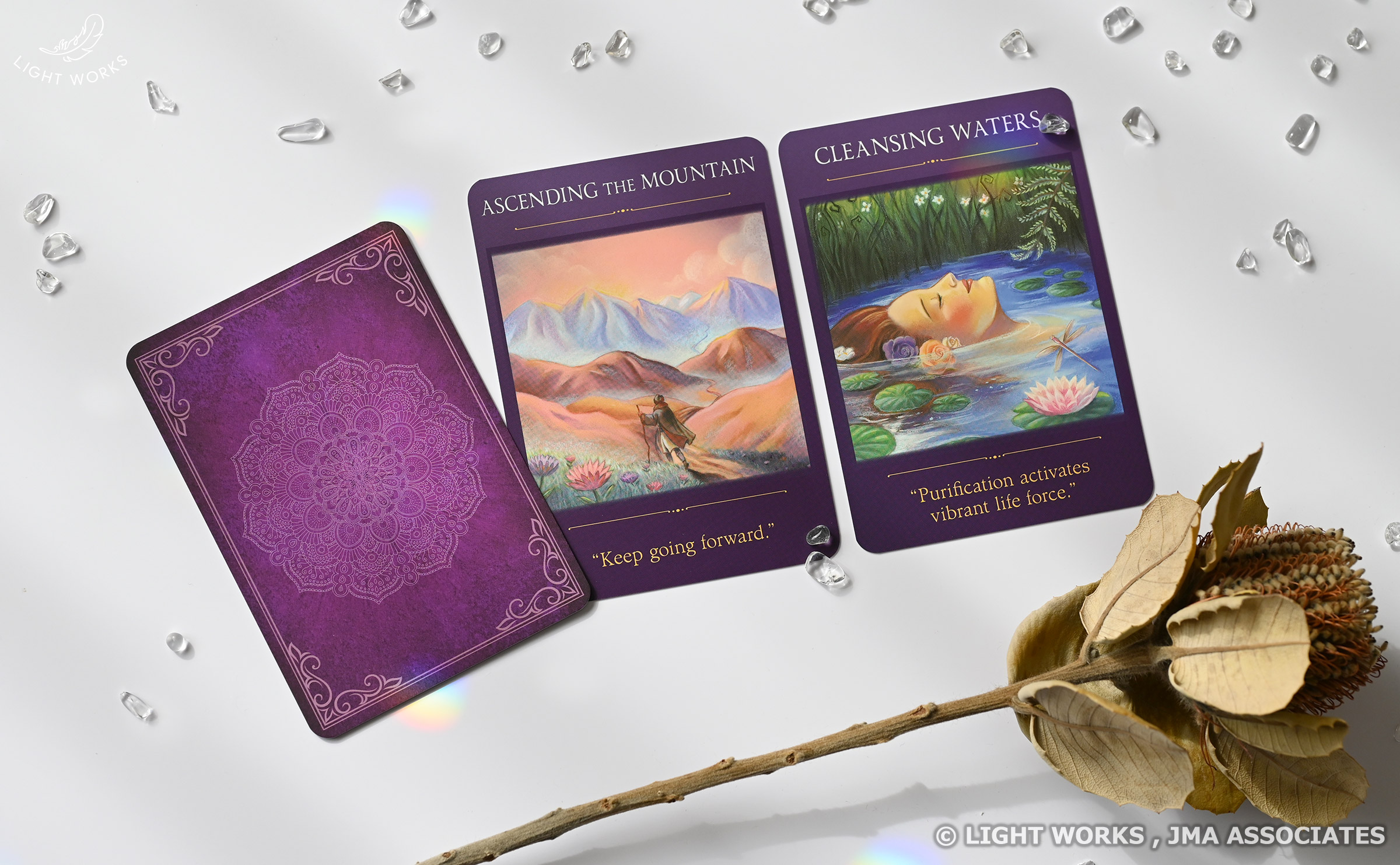 先着特典付き】セイクレッドトラベラーオラクルカード（フェロー