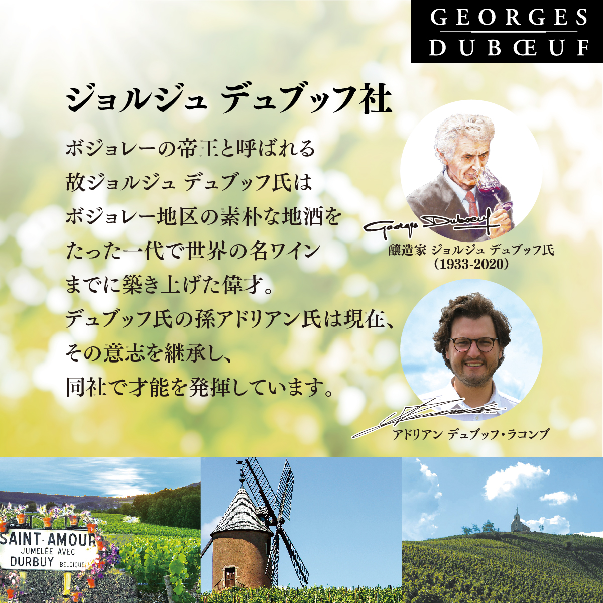 SUNTORY（サントリー） 9 ジョルジュ デュブッフ ボジョレー ロゼ