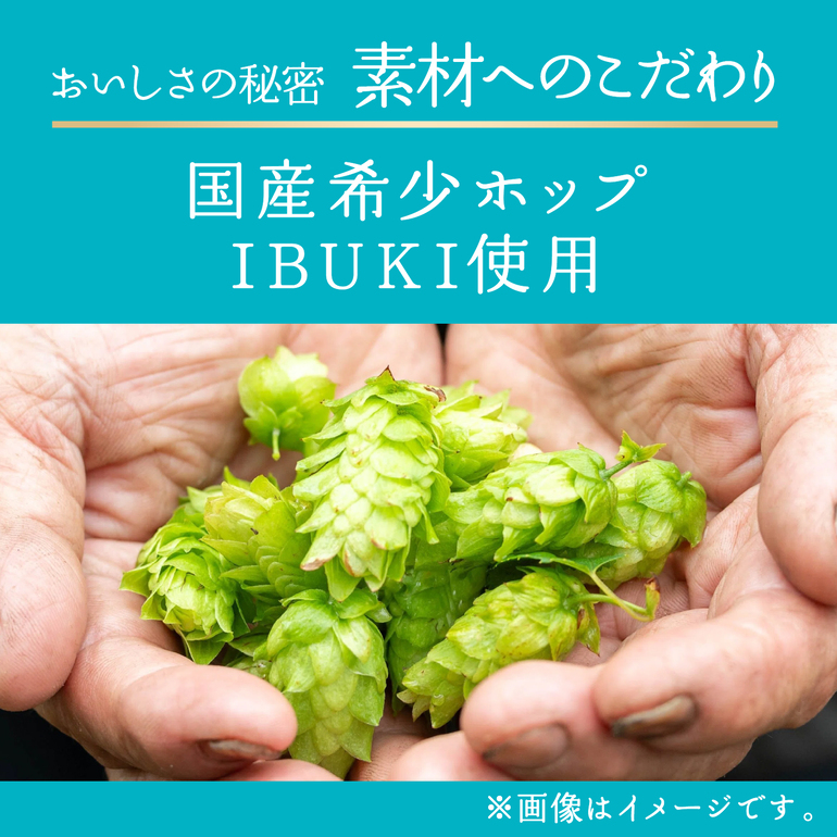 キリン（KIRIN） キリンビール 晴れ風 500ml缶×48本(24本×2ケース