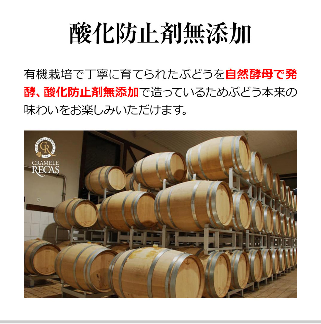 直営店から日本全国 ワインファネル　純銀　2002年製 アルコールグッズ