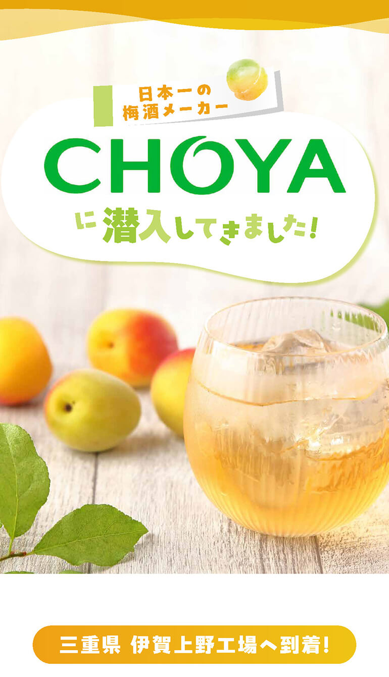 1/1〜5限定 全品P3倍 梅酒 チョーヤ じっくり熟梅酒 1800ml パック × 6