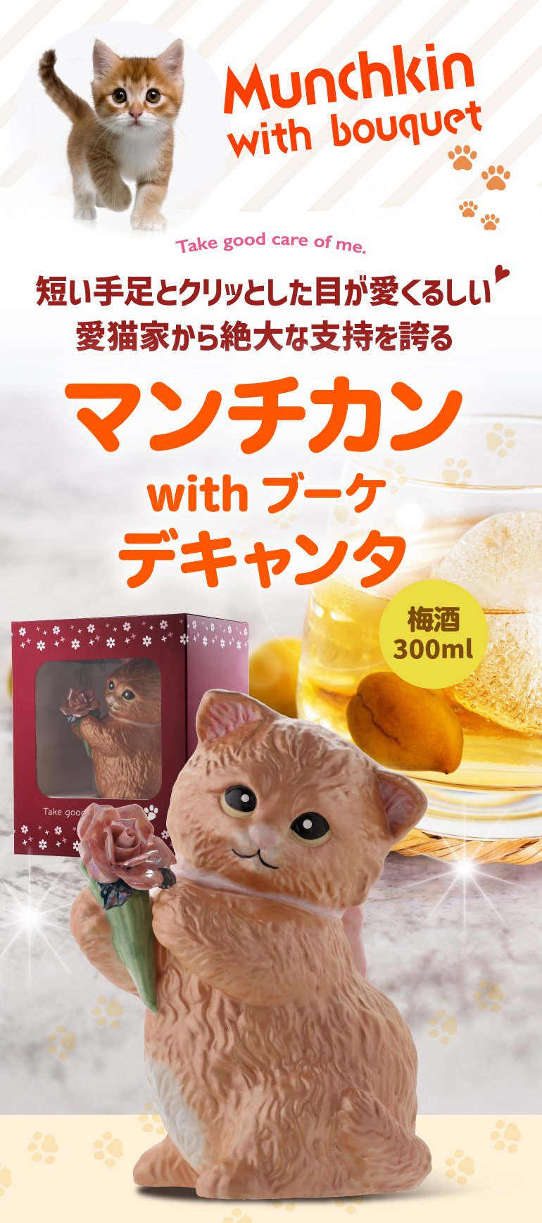 送料無料 正規品 梅酒 箱付き マンチカン ウィズブーケ ブラック
