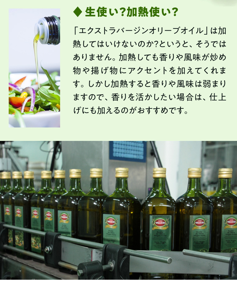 エクストラバージンオリーブオイルエキストラバージン 12本500ml455g スペイン産 オリーブオイル エキストラバージン 500ml×12本 EX