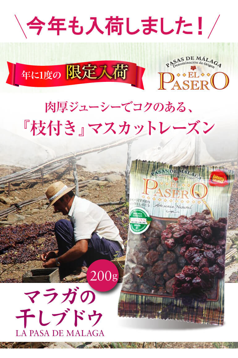 New Arrival 高級 枝付き アンダルシア産 レーズン の最高峰 オイル 干しぶどう スペイン 砂糖