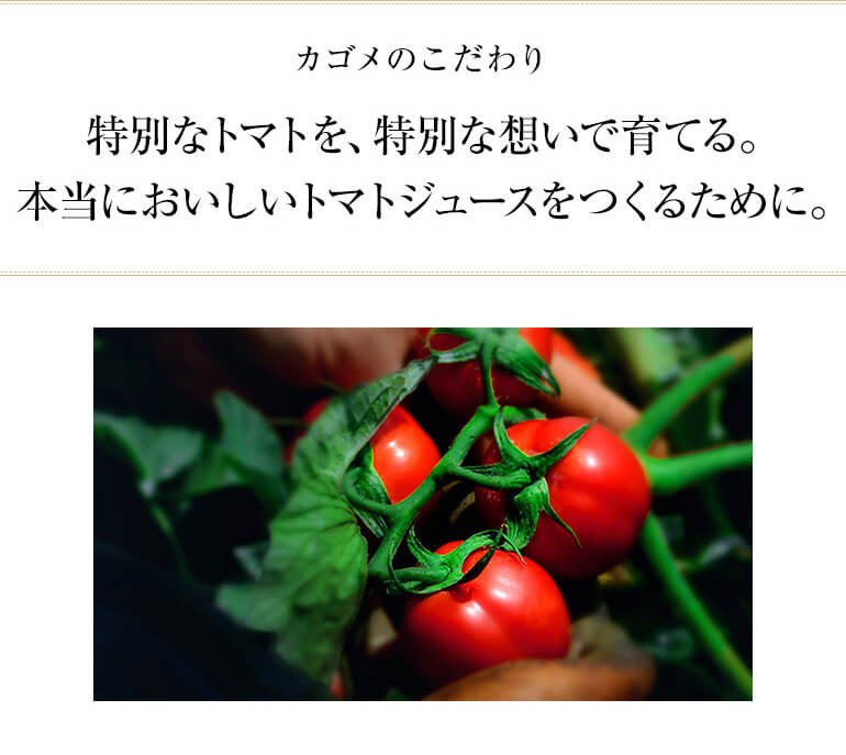 カゴメ トマトジュース プレミアム食塩無添加 720ml 15本 2022年 送料無料 無塩 トマト 長S  :913570-15:リカマンYahoo!店 - 通販 - Yahoo!ショッピング