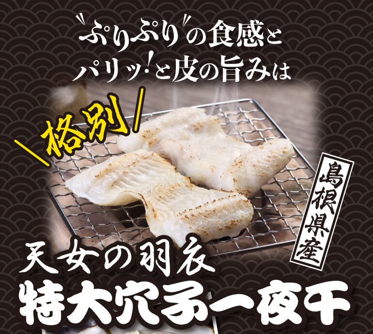 天女の羽衣 特大穴子一夜干 250g×2尾 一日漁 あなご 真あなご 特大