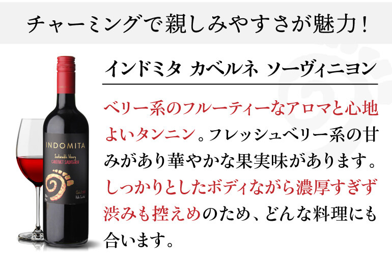 INDOMITA シャルドネ 12本セット　白10赤2 ワイン ワインセット 白 インドミタ シャルドネ 750ml ケース