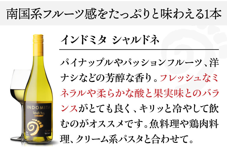 ワイン ワインセット 白 インドミタ シャルドネ 750ml ケース