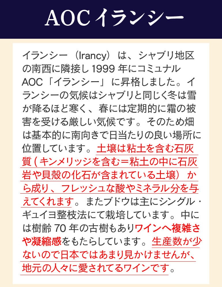 ポイント10倍 赤ワイン イランシー ヴォーペッシオ 2015 ガバン エ