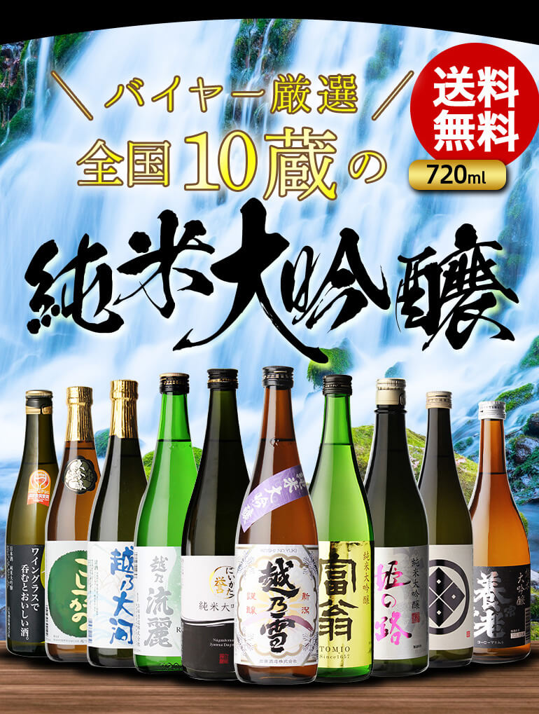 日本酒 720ml10本セット-