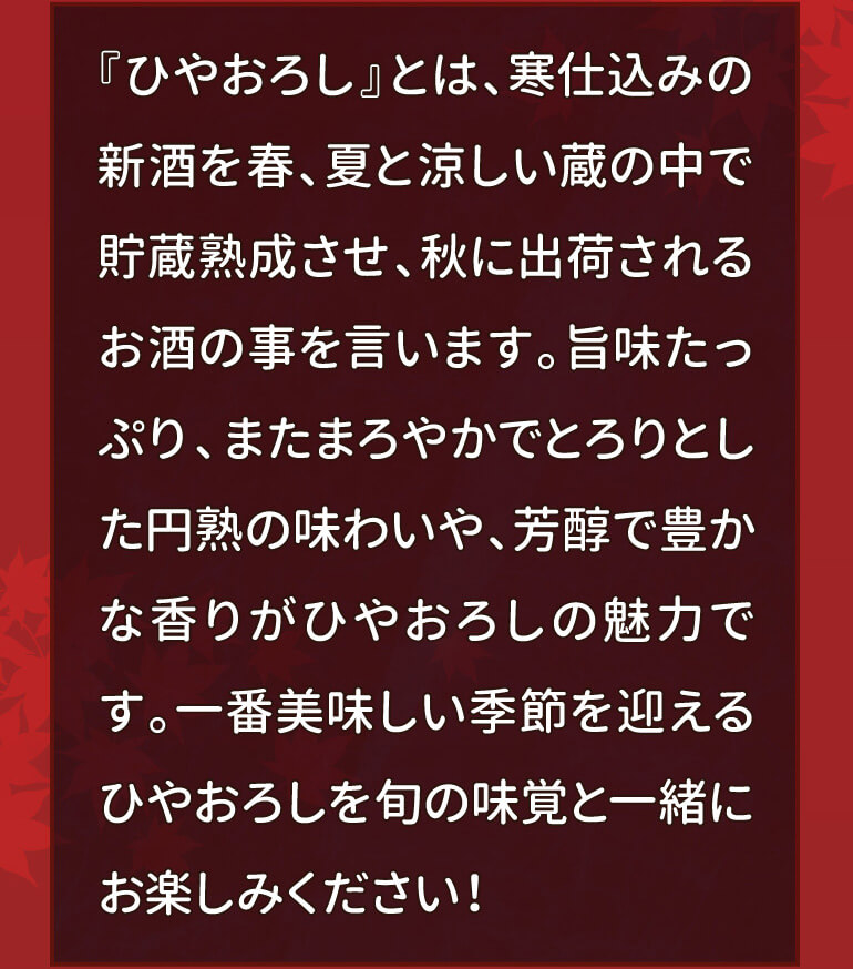 秋限定！ひやおろし5本セット