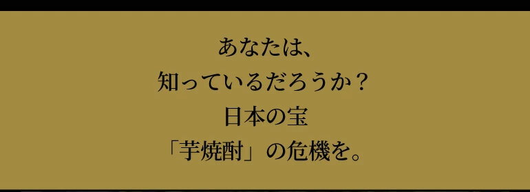 送料無料 限定500本 焼酎 芋焼酎 白金乃雫 しらかねのしずく 無加水