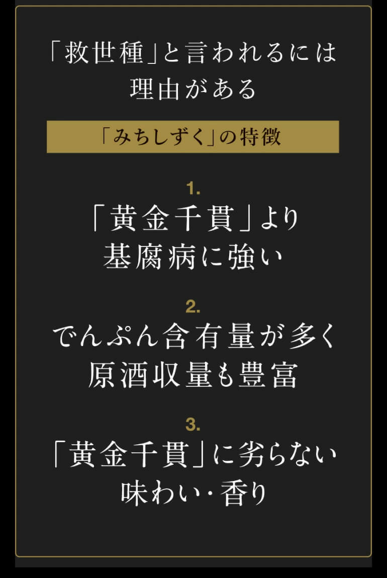 焼酎星河と白金乃雫 焼酎星河と白金乃雫