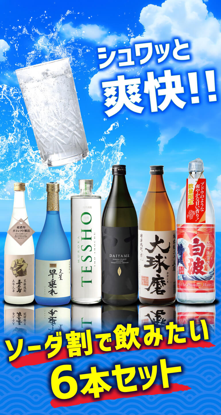 1/11限定 全品P3倍 焼酎 炭酸割でおすすめの 6本 飲み比べセット 720