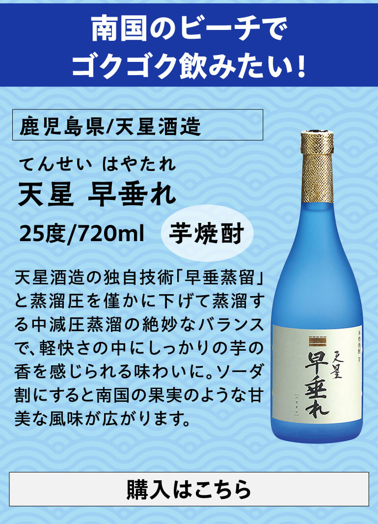 1/11限定 全品P3倍 焼酎 炭酸割でおすすめの 6本 飲み比べセット 720
