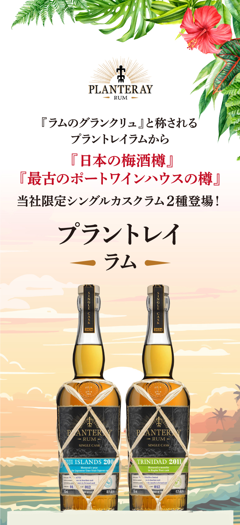 プラントレイラム