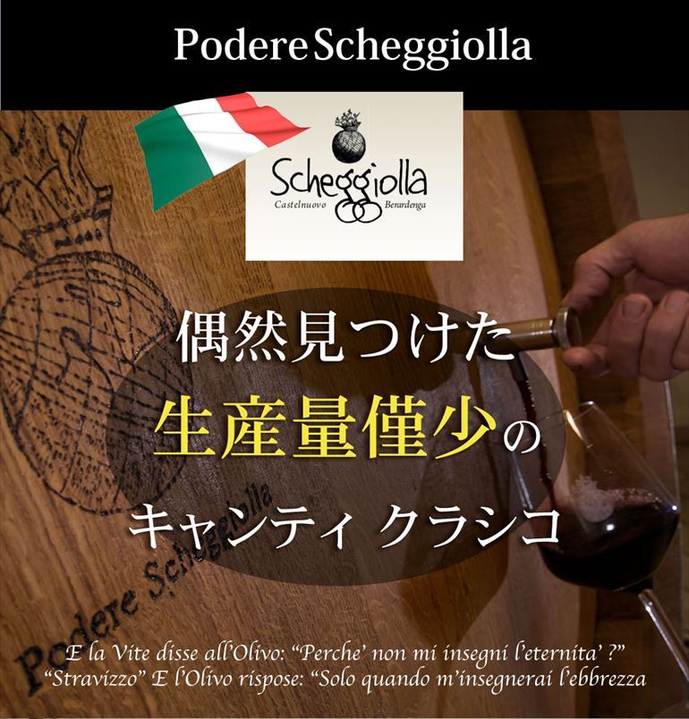 赤ワイン キャンティ クラシコ ラ スケジョッラ 2014 750ml イタリア トスカーナ サンジョベーゼ 長S 敬老の日 ハロウィン  :425537:セラー専科Yahoo!店 - 通販 - Yahoo!ショッピング