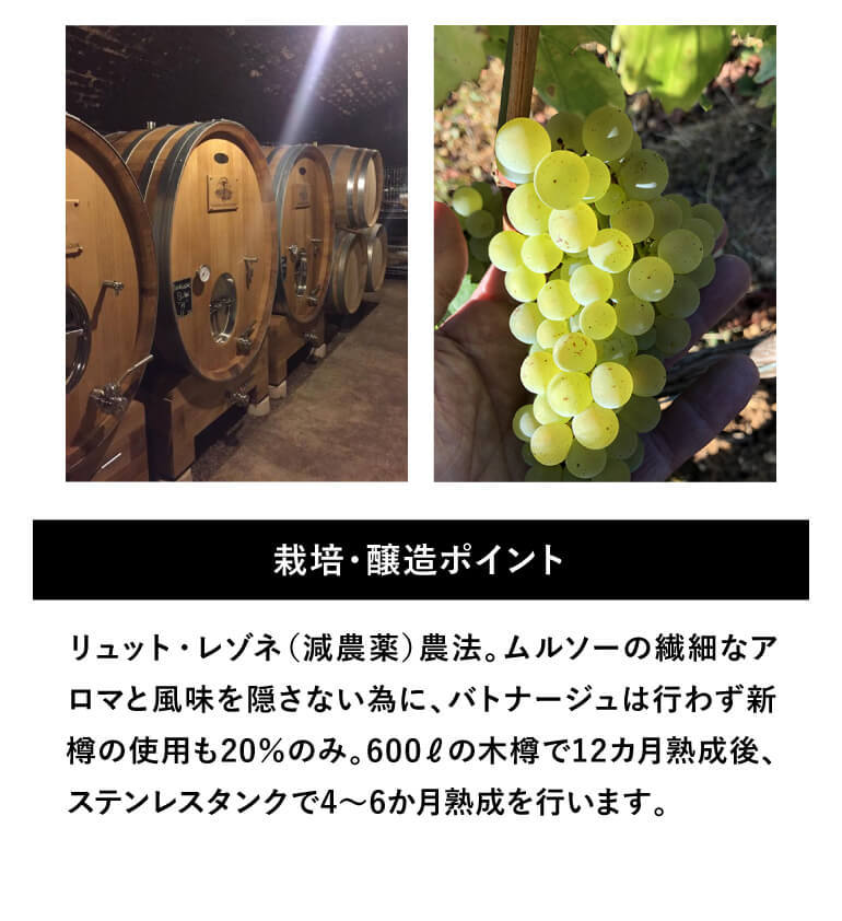 白ワイン ヴァンサン ラトゥール ムルソー プルミエ クリュ 白ワイン ヴァンサン ラトゥール ムルソー プルミエ クリュ