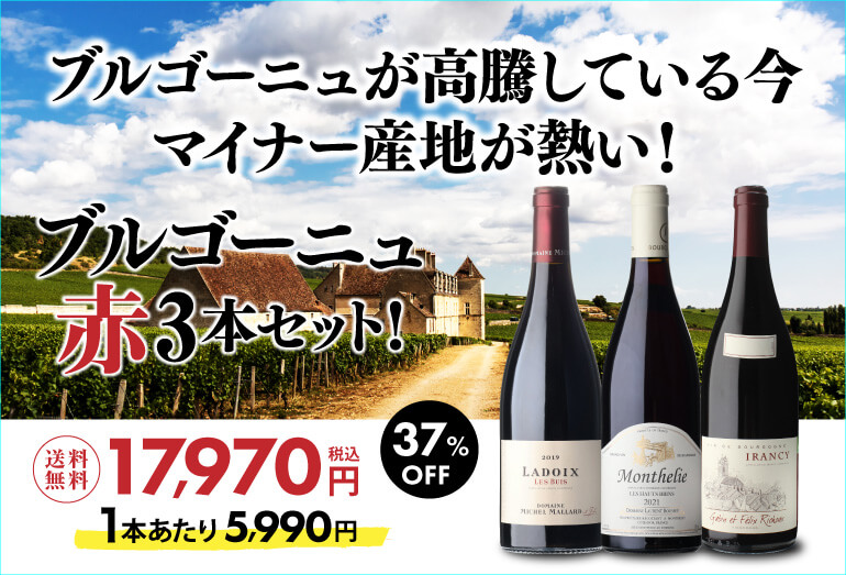 1本あたり4,800円(税込) 送料無料 プレミアムブルゴーニュ白ワイン3本