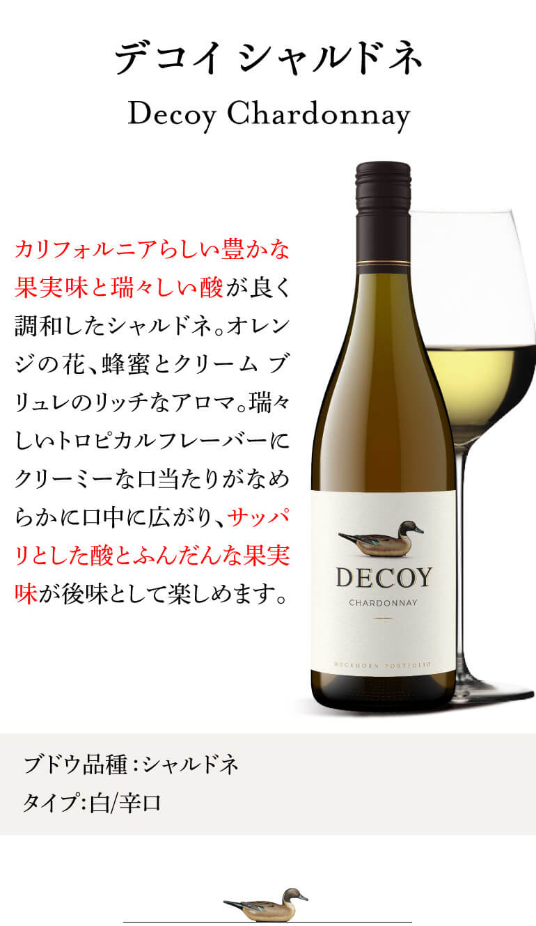 ルディ（イタリア） & デコイ（アメリカ）ワインセット　2本 ワイン セット 1本あたり2,829円(税込) 送料無料 デコイ 7本
