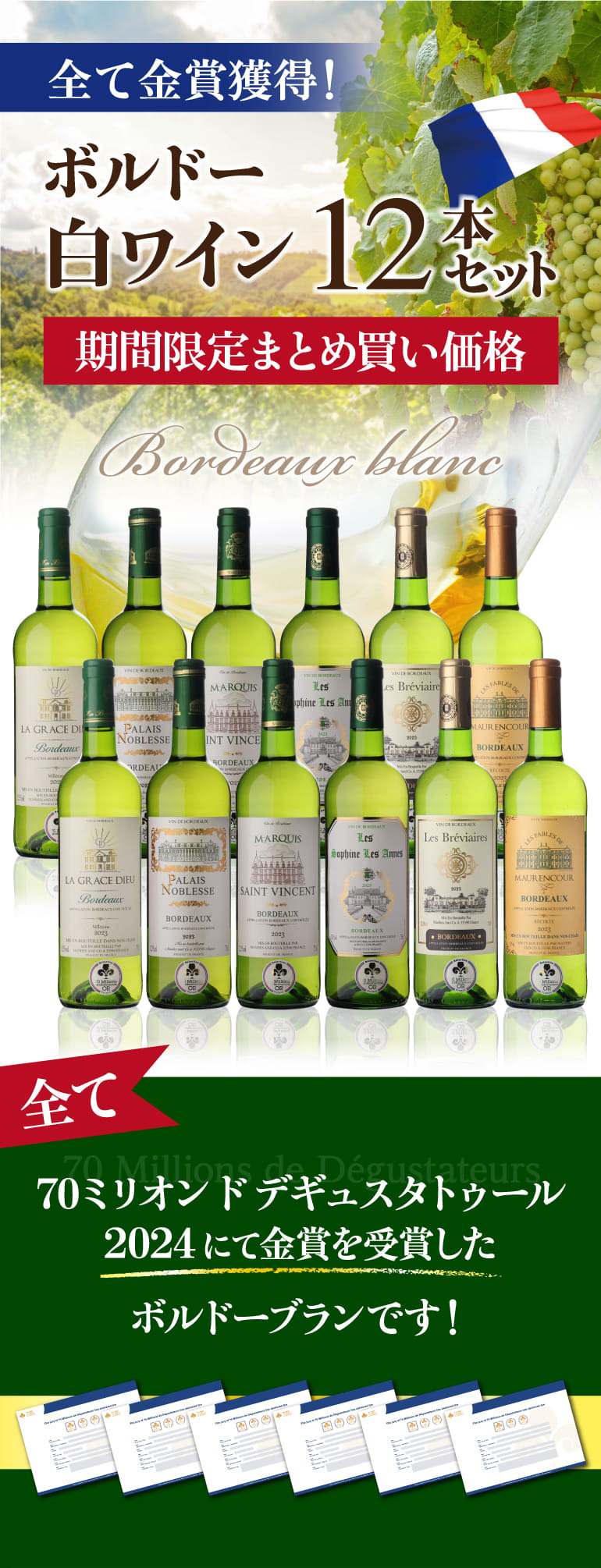 ボルドー白ワイン12本セット