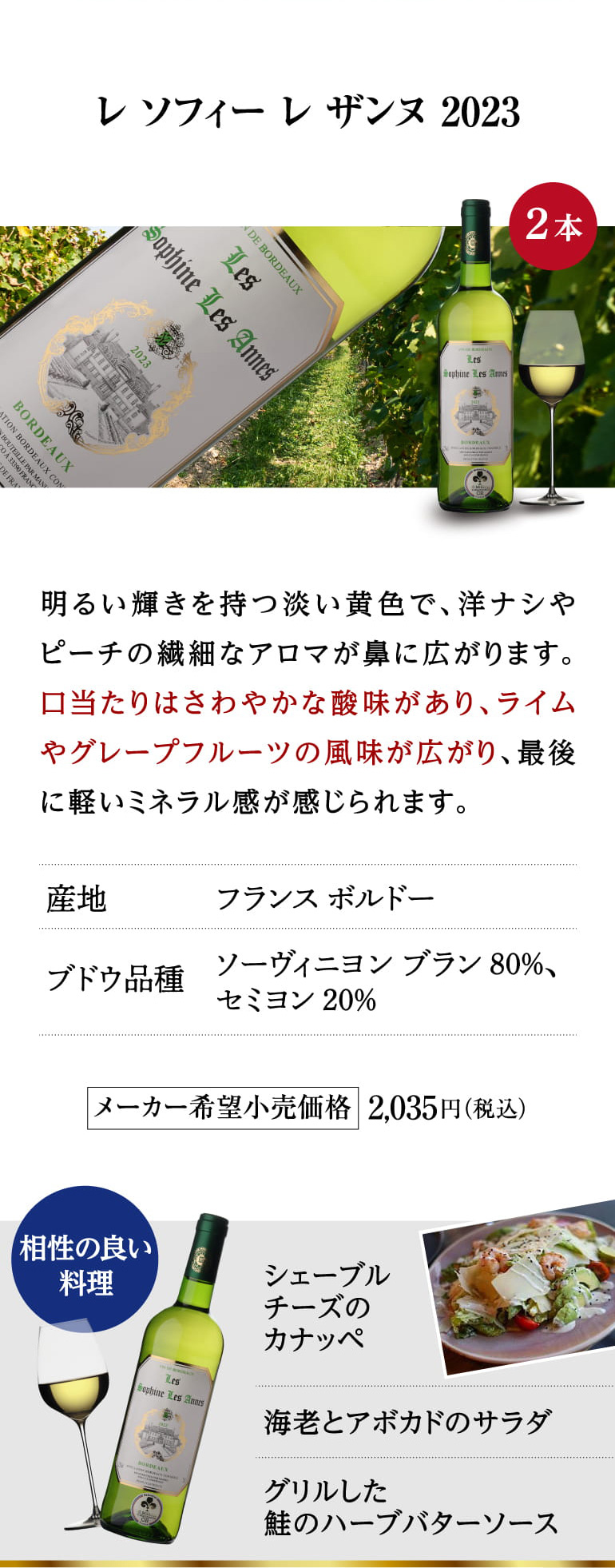 ボルドー白ワイン12本セット