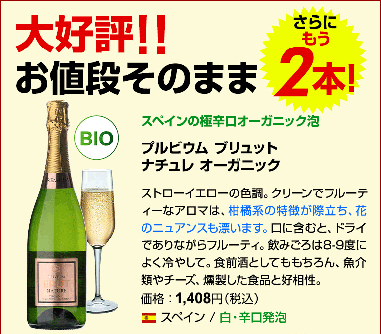ワインセット スパークリング 12本 +2本 750ml 辛口泡だけ 特選