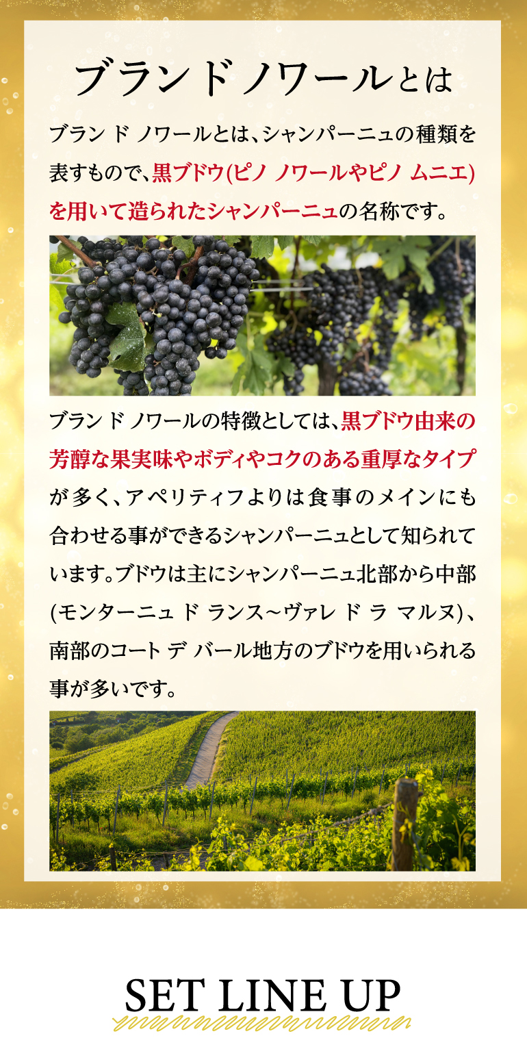 すべてブランドノワール！特選シャンパーニュ3本