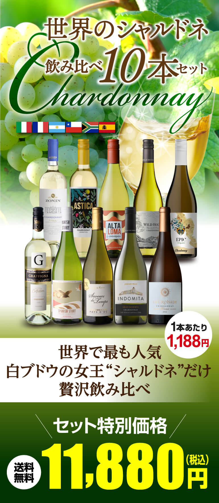 送料無料 世界のシャルドネ 飲み比べ10本セット 29弾 白ワイン