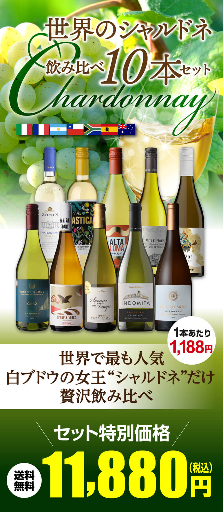 送料無料 世界のシャルドネ 飲み比べ10本セット 30弾 白ワインセット
