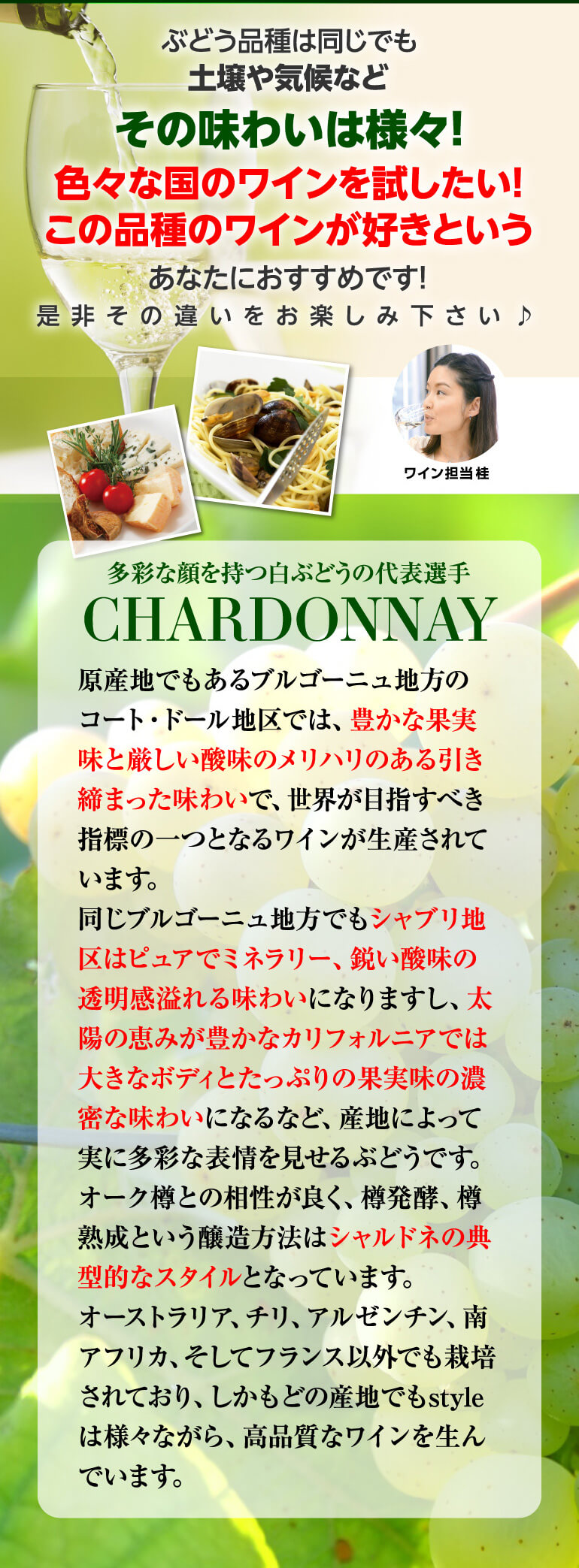 送料無料 世界のシャルドネ 飲み比べ10本セット 30弾 白ワインセット