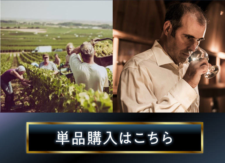 サンガール