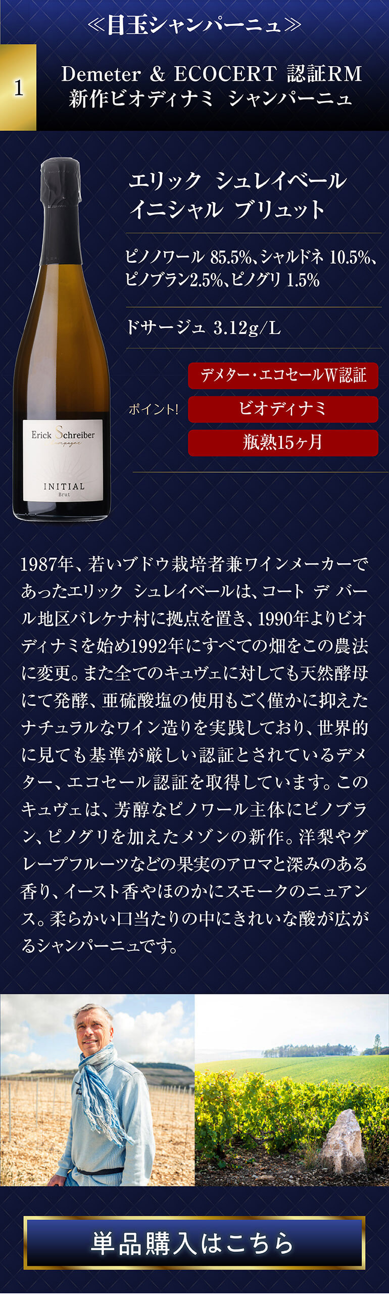 高級辛口シャンパン5本セット