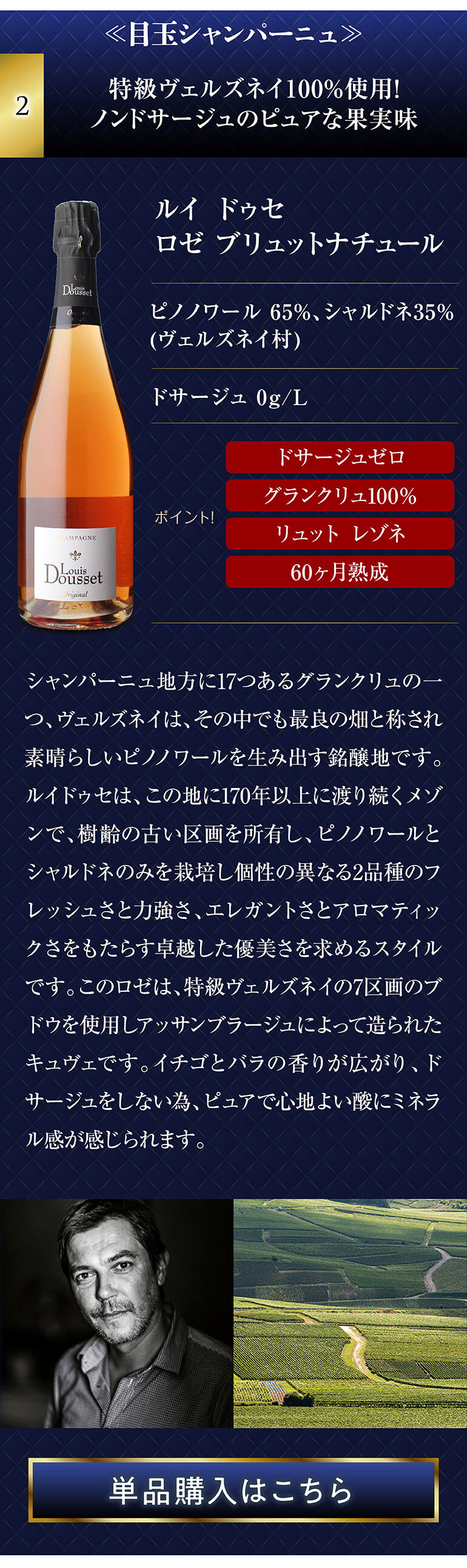 高級辛口シャンパン5本セット