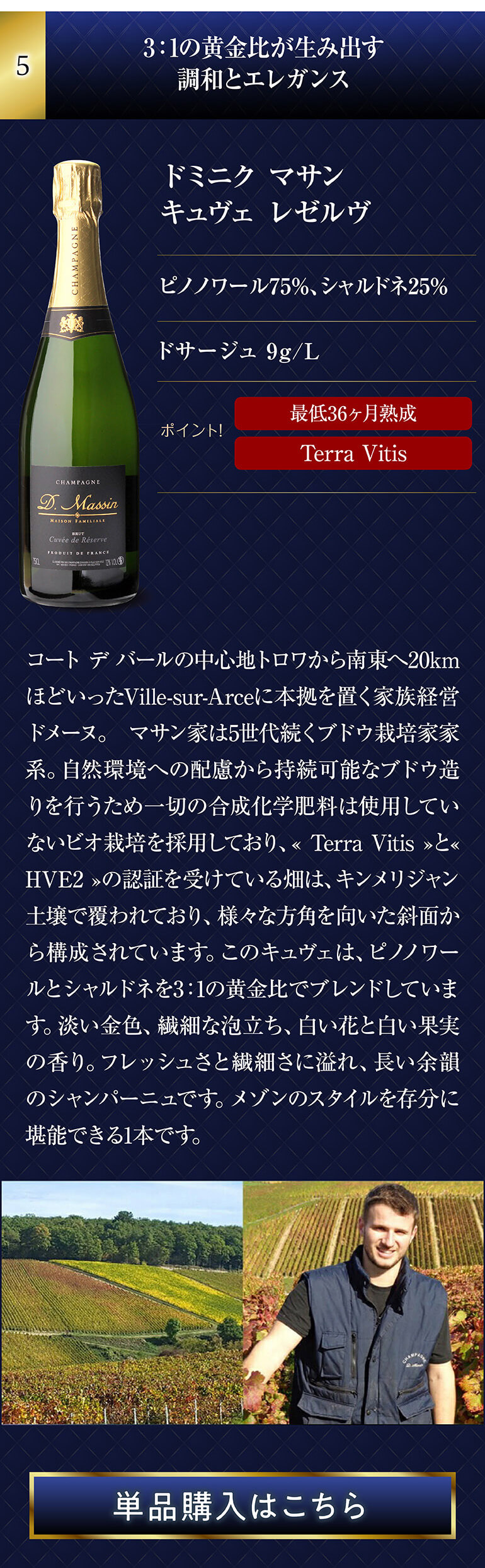 高級辛口シャンパン5本セット