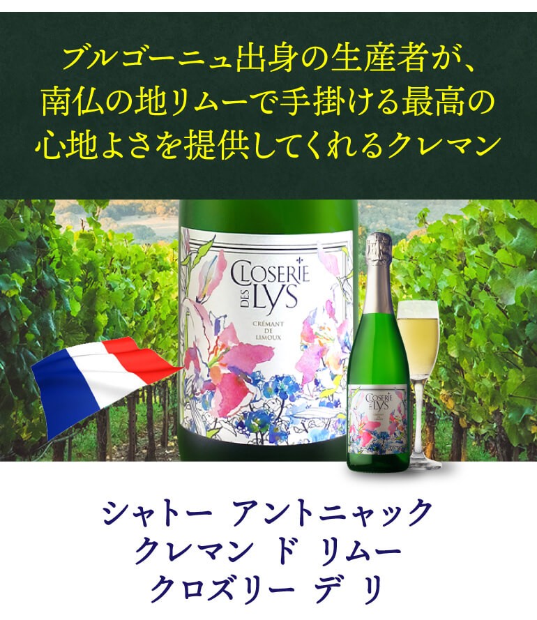 ワイン ワインセット フィラディス直輸入 星付き 高級レストラン採用