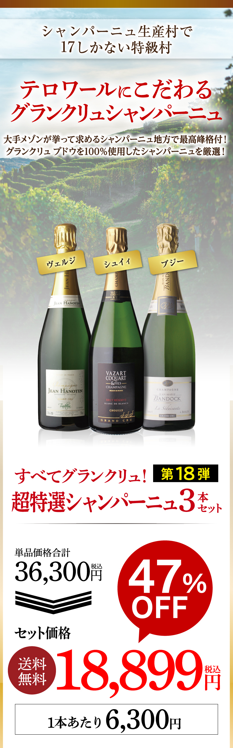 シャンパン シャンパンセット すべて グランクリュ 特選シャンパーニュ