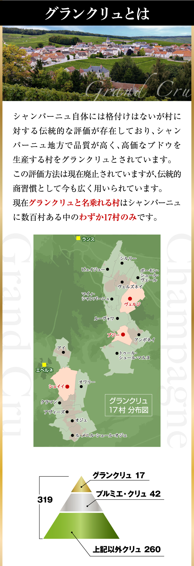 シャンパン シャンパンセット すべて グランクリュ 特選シャンパーニュ