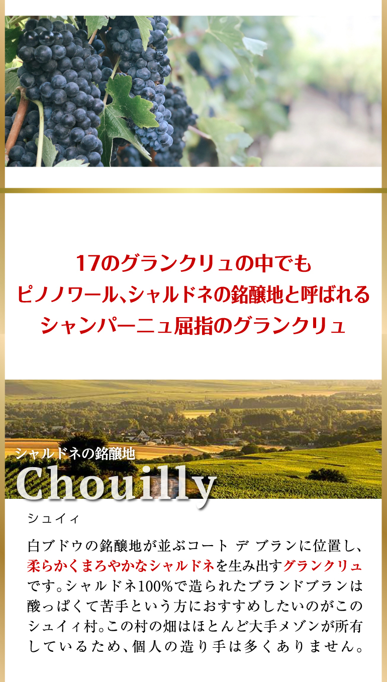 シャンパン シャンパンセット すべて グランクリュ 特選シャンパーニュ