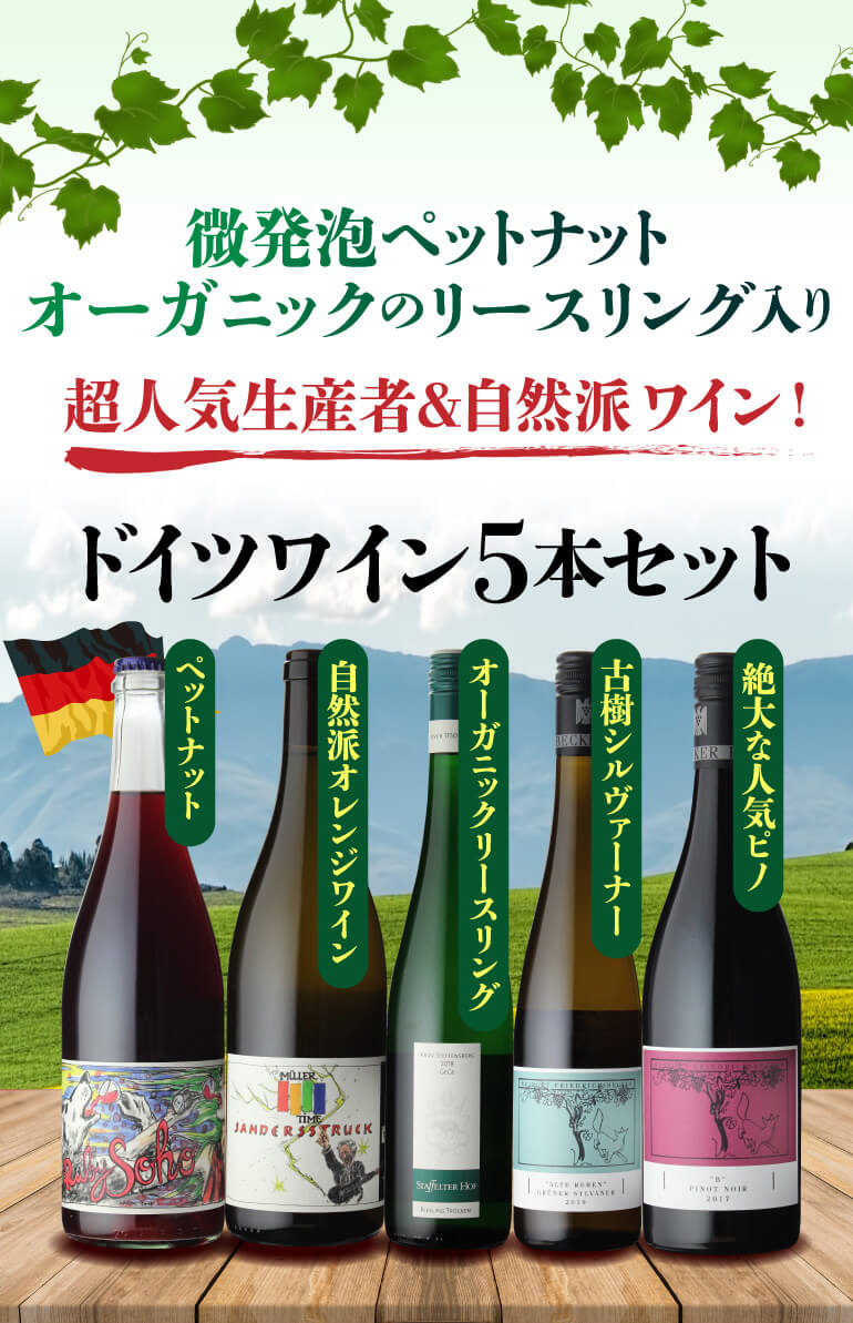 ワインセット 1本あたり3,388円(税込) 送料無料 人気生産者＆自然派